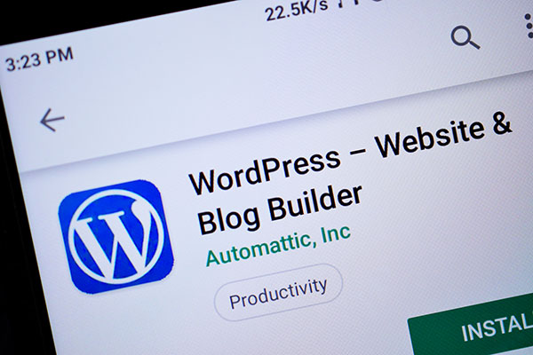 WordPress, une plateforme flexible avec ses plugins