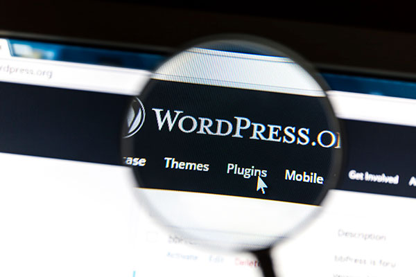 Wordpress thèmes et plugins gratuits